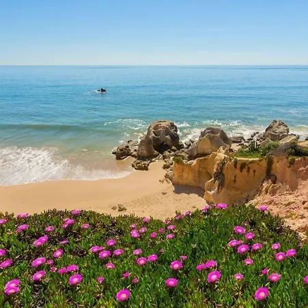 Apartment Rooftop With Sea Views By Algarve Dream Holidays *